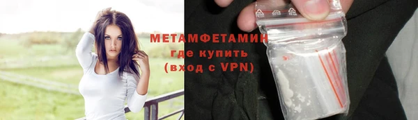 прущие грибы Баксан
