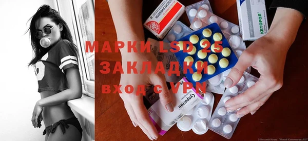 прущие грибы Баксан