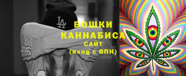 прущие грибы Баксан