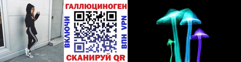 Псилоцибиновые грибы прущие грибы  купить   Буйнакск 